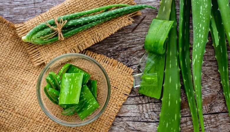 Aloe Vera For Your Hair 1 Aloe Vera For Your Hair