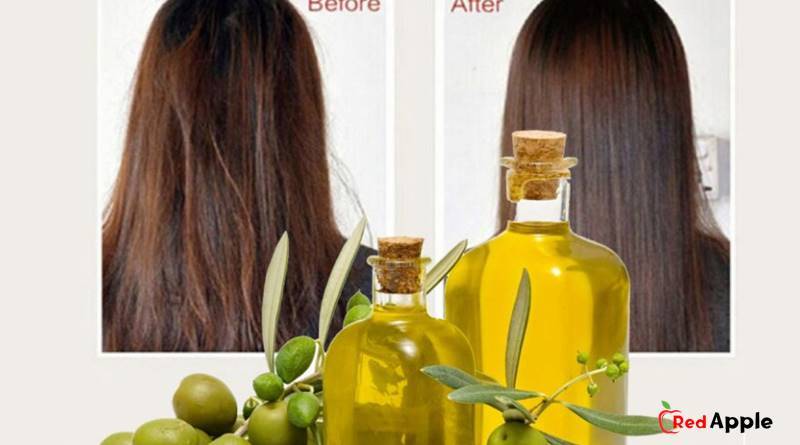 Benefits Of Olive Oil For Natural Hair 2 Benefits Of Olive Oil For Natural Hair