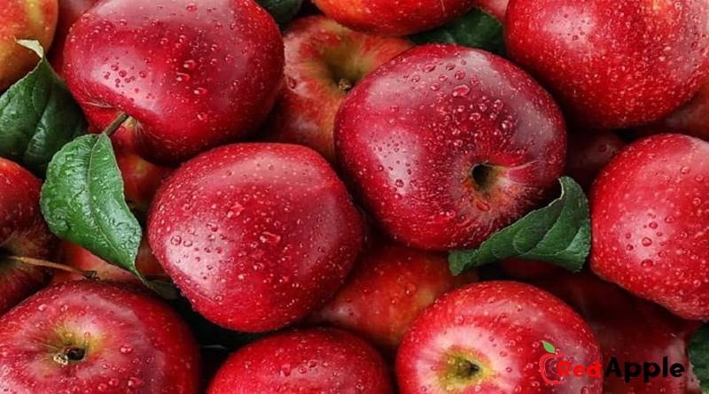 Benefits Of Red Apples For The Body 2 Benefits Of Red Apples For The Body