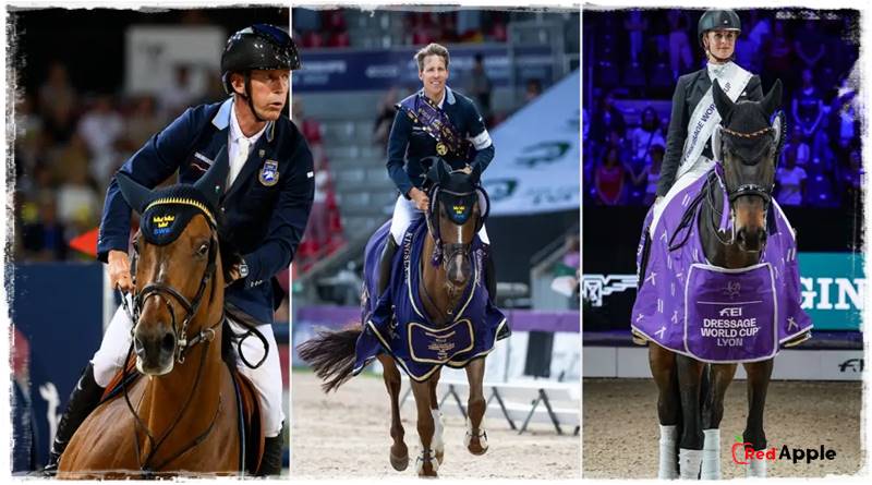 Guide How to watch the Sweden International Horse Show on SVT