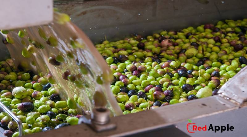 How To Make A Olive Oil