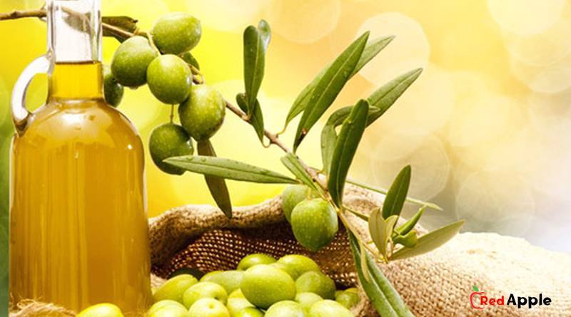 How To Make Your Own Olive Oil 5 How To Make Your Own Olive Oil