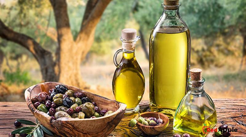 How To Make Your Own Olive Oil 6 How To Make Your Own Olive Oil