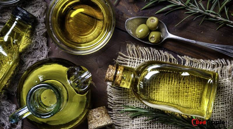 How To Make Your Own Olive Oil 8 How To Make Your Own Olive Oil
