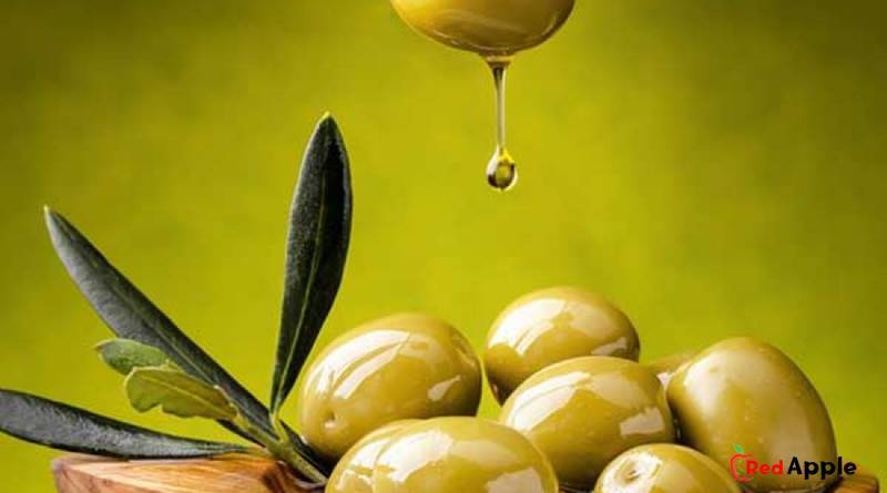 How To Make Your Own Olive Oil 26 How To Make Your Own Olive Oil