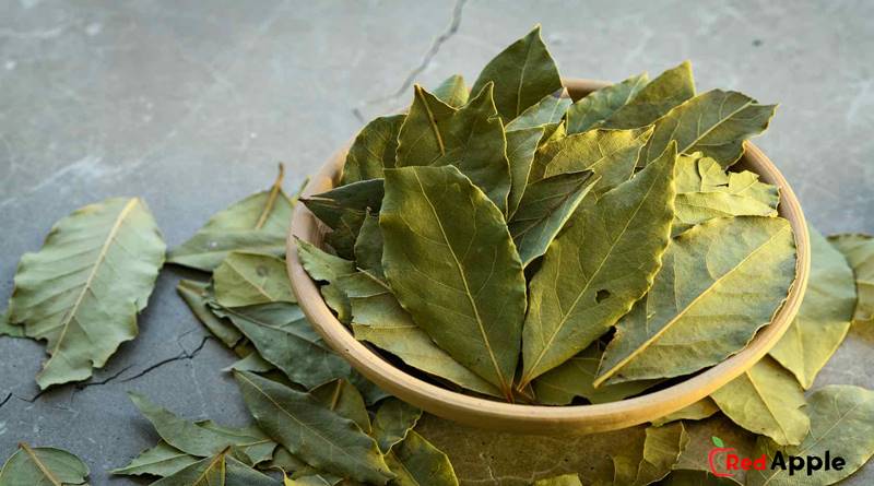 The benefits of bay leaf for body health and types of bay leaves