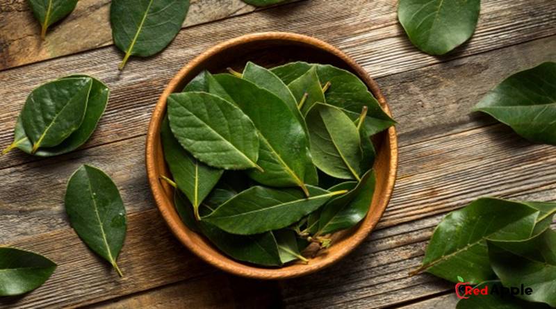 The benefits of bay leaf for body health and types of bay leaves