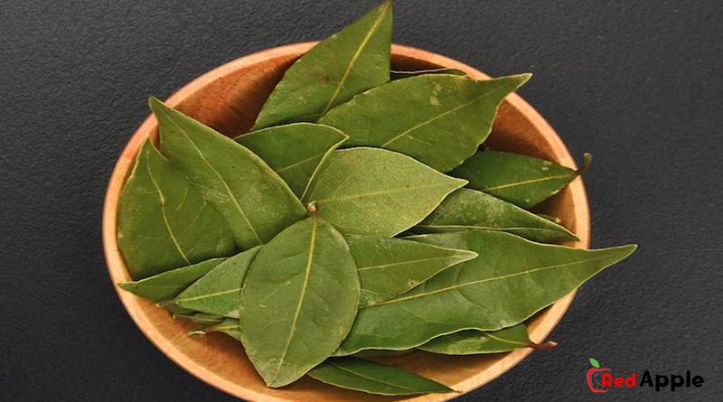 The benefits of bay leaf for body health and types of bay leaves
