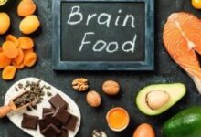 The Best Foods To Boost Brain Function
