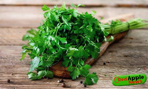 Health Benefits Of Parsley