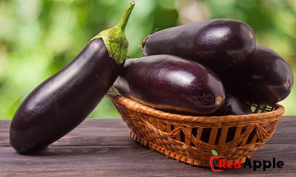 Health Benefits Of Eggplant