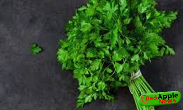 Health Benefits Of Parsley