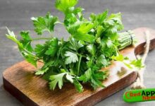 Health Benefits Of Parsley