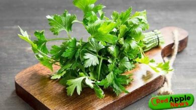 Health Benefits Of Parsley