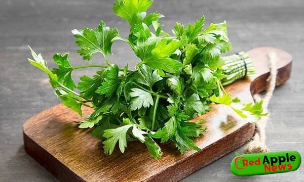 Health Benefits Of Parsley