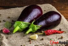 Health Benefits Of Eggplant