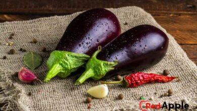Health Benefits Of Eggplant