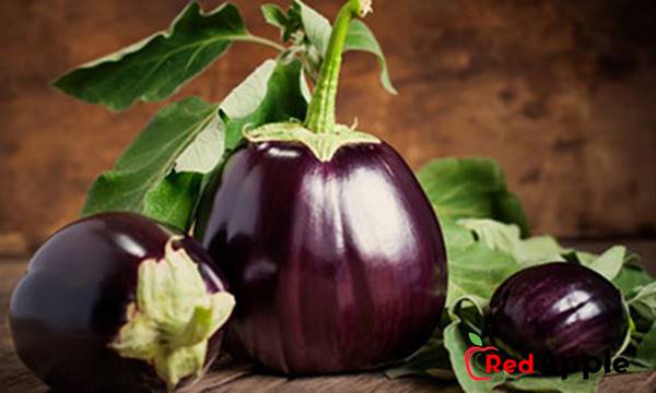 Health Benefits Of Eggplant