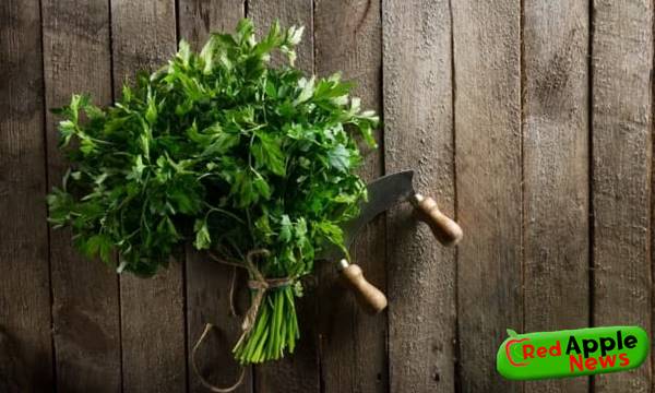 Health Benefits Of Parsley