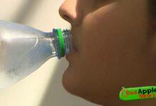 Do We Need Eight Glasses of Water a Day?