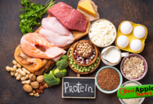 Does the protein diet work?