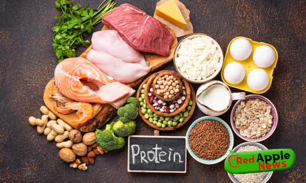 Does the protein diet work?