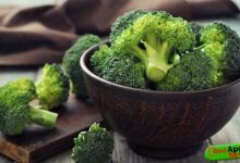 Health Benefits Of Broccoli