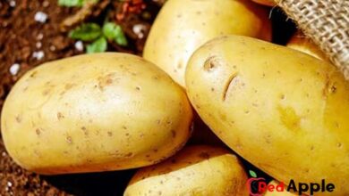 Health Benefits Of Potatoes