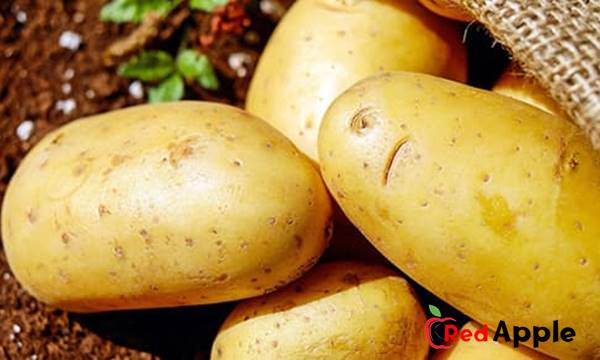 Health Benefits Of Potatoes