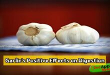 Garlic's Positive Effects on Digestion