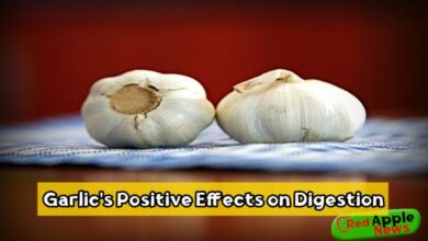 Garlic's Positive Effects on Digestion