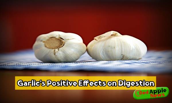 Garlic's Positive Effects on Digestion