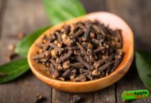 The most important benefits of chewing cloves on an empty stomach