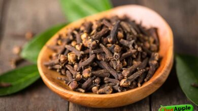 The most important benefits of chewing cloves on an empty stomach