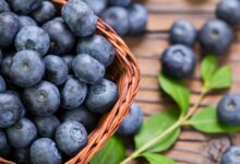 6 Benefits of Blueberries for Healthy Aging