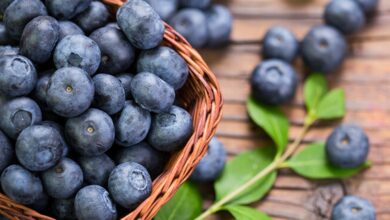 6 Benefits of Blueberries for Healthy Aging