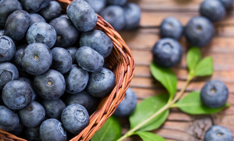 6 Benefits of Blueberries for Healthy Aging