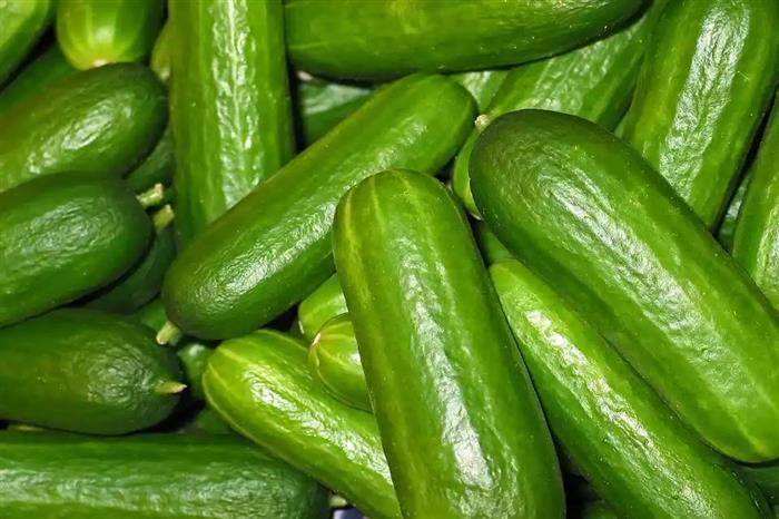 what is the advantages of cucumber