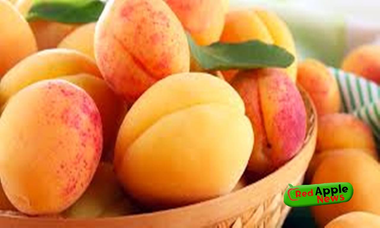 9 health benefits of apricots