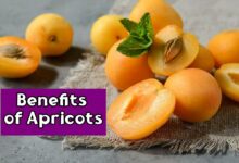 Benefits of Apricots
