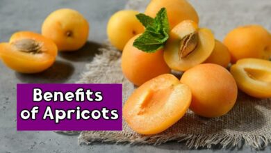 Benefits of Apricots