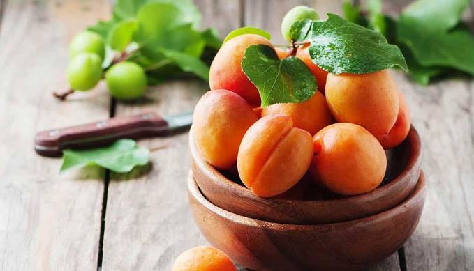 Secret Health Benefits of Apricots: What You Need to Know 2 Benefits of Apricots