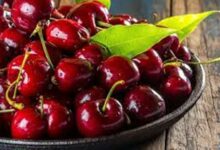 Cherry Fruit Extract