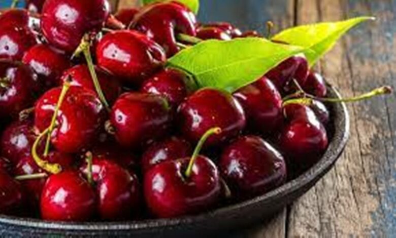 Cherry Fruit Extract