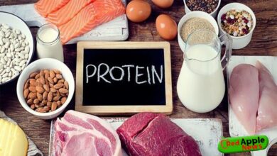 10 All-natural Healthy Protein Resources for Structure Muscle Mass