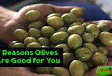 7 Reasons Olives Are Good for You