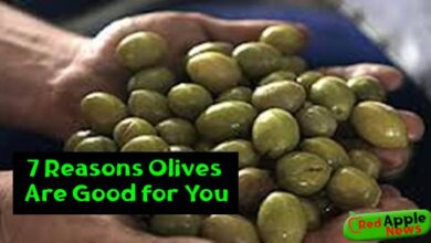 7 Reasons Olives Are Good for You