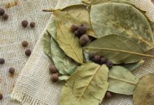 Benefits Of Bay Leaf For Fertility