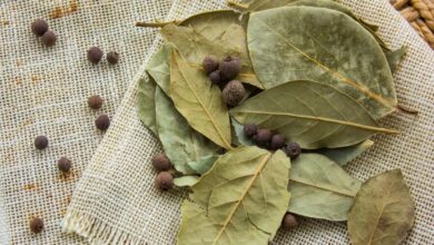 Benefits Of Bay Leaf For Fertility