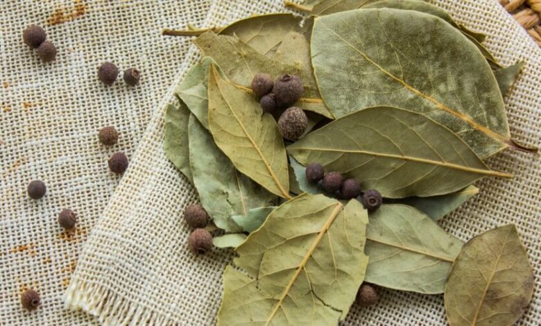 Benefits Of Bay Leaf For Fertility